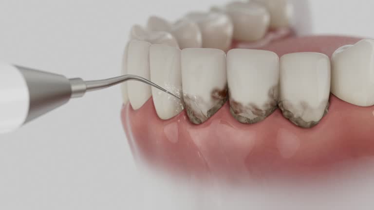 Reliable Dental contractor in West Carson, CA by Dentist Open Now